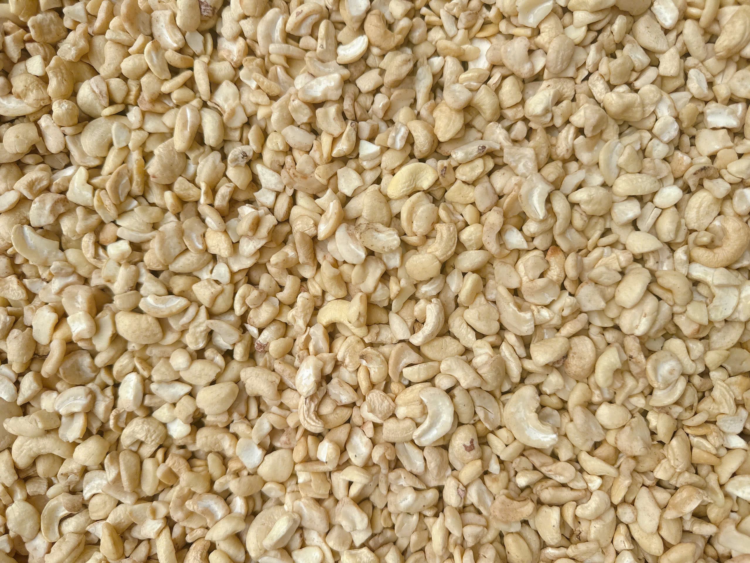 LP cashew kernels