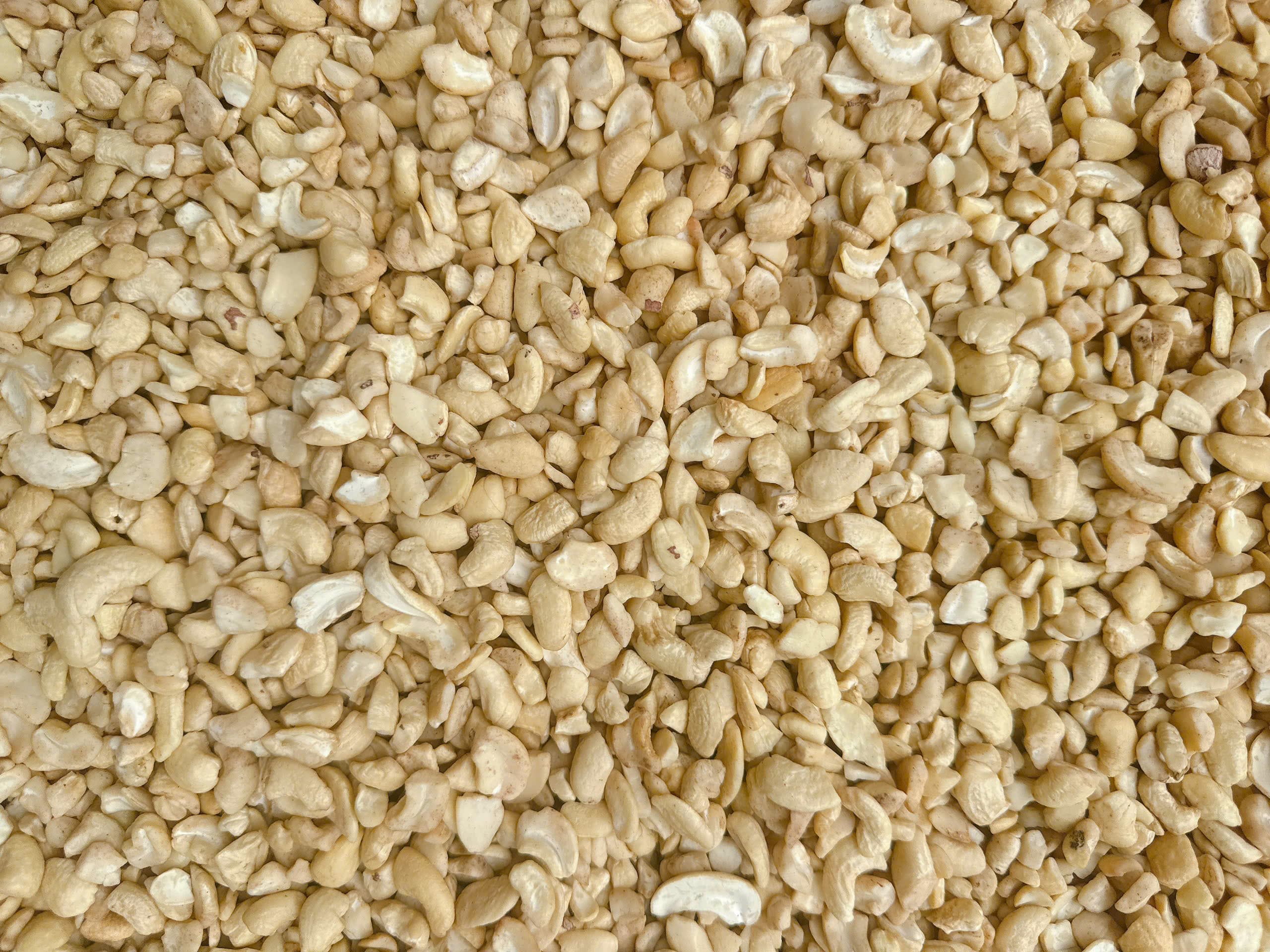LP cashew kernels 10