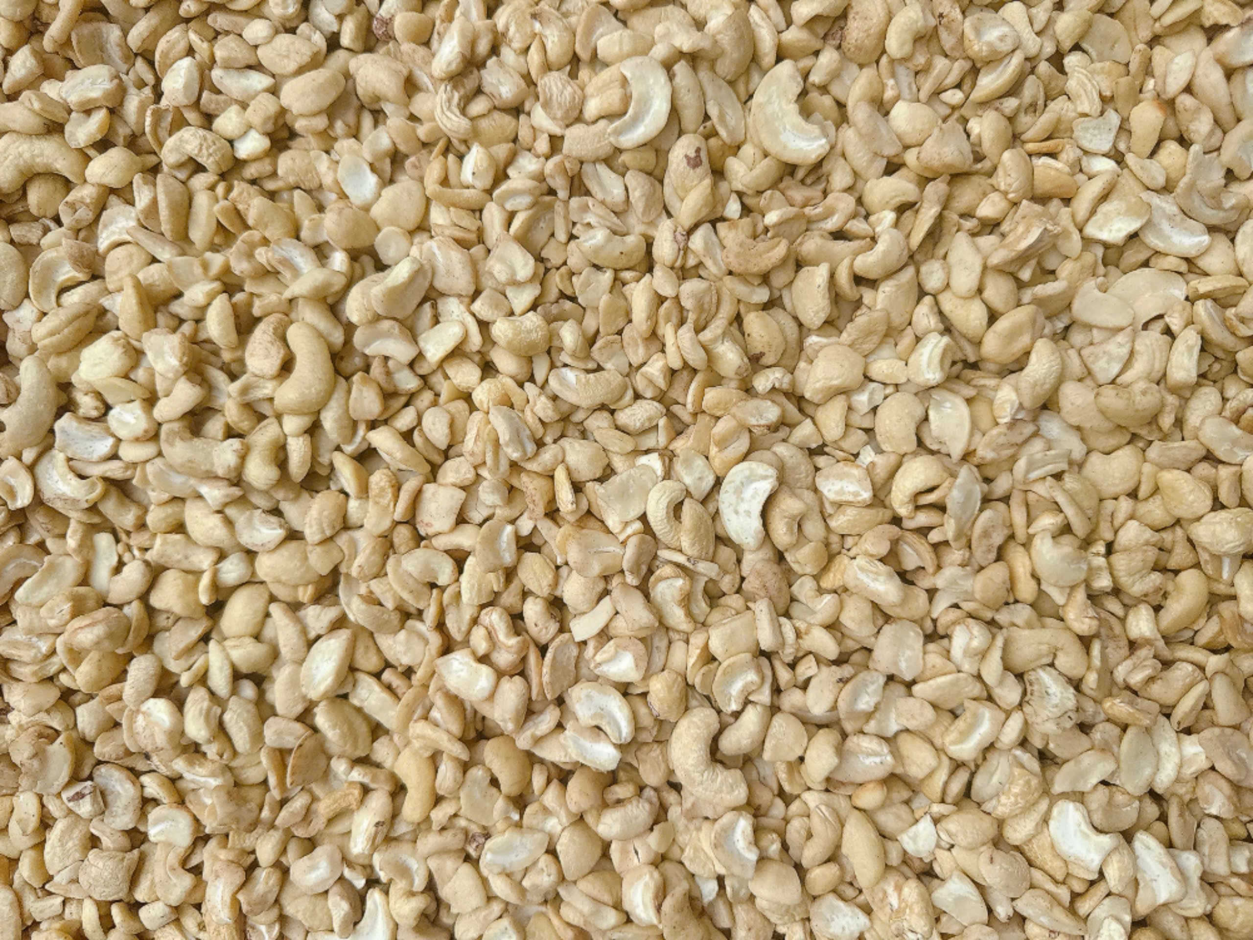 LP cashew kernels 11