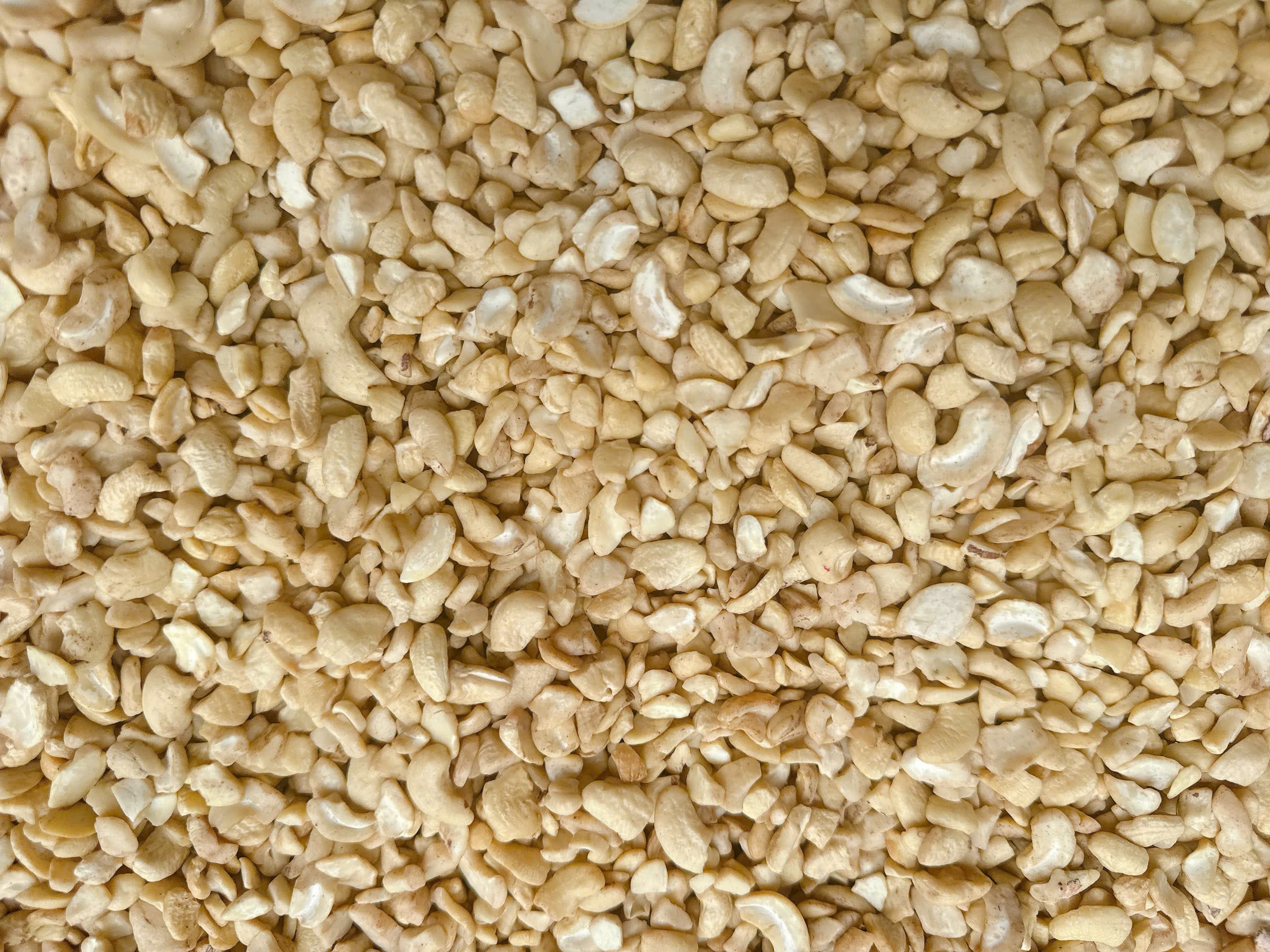 LP cashew kernels 4
