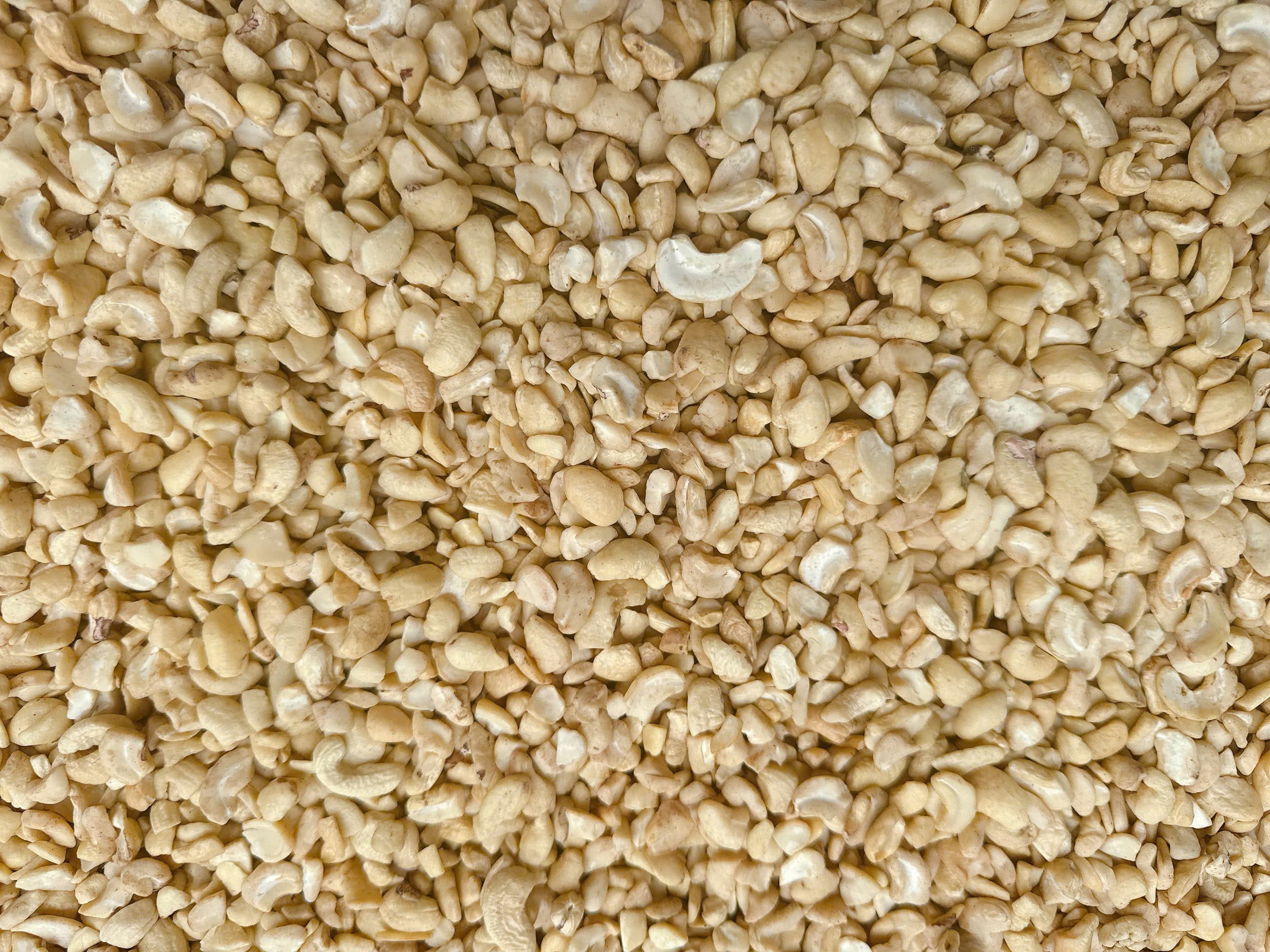 LP cashew kernels 5