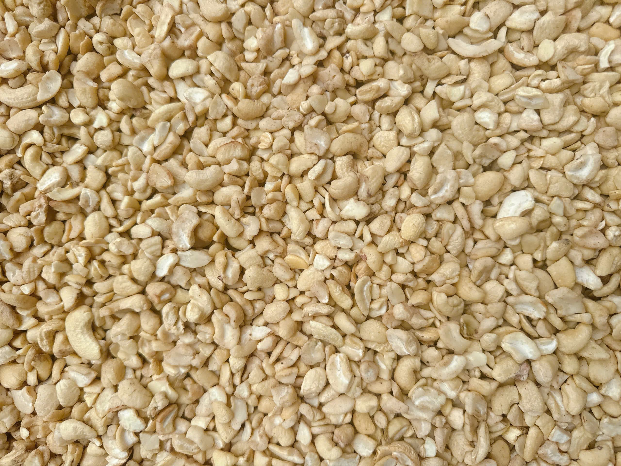 LP cashew kernels 6