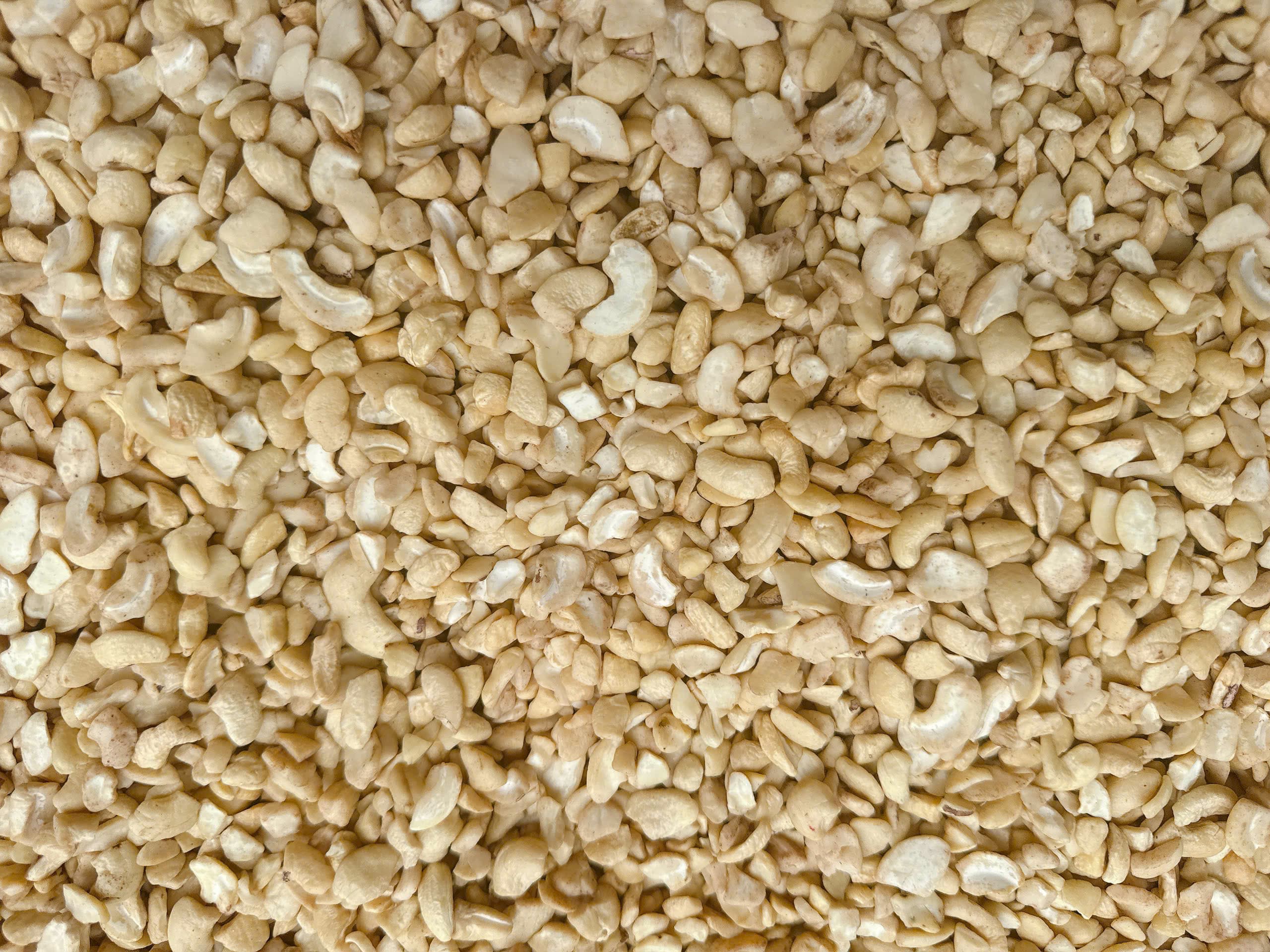 LP cashew kernels 8