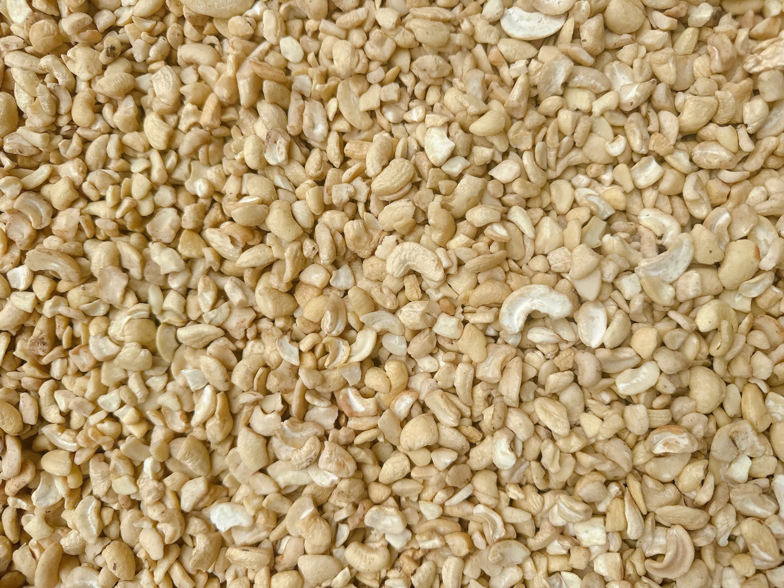 LP cashew kernels 9