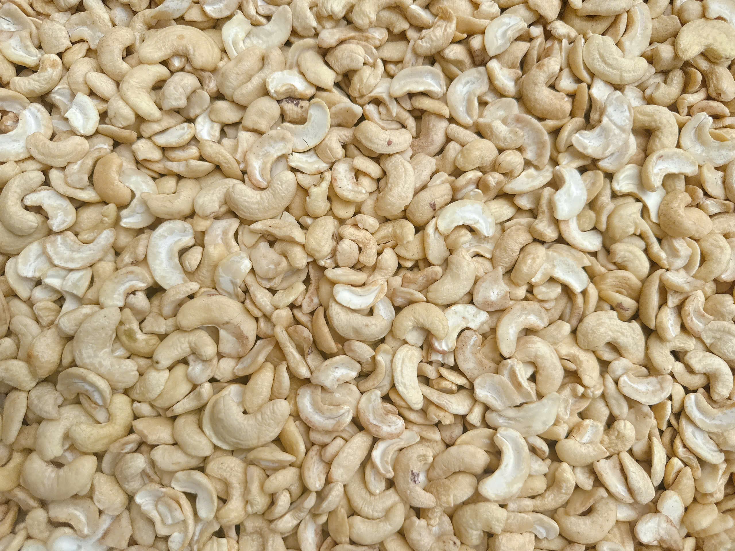 WS cashew kernels 10