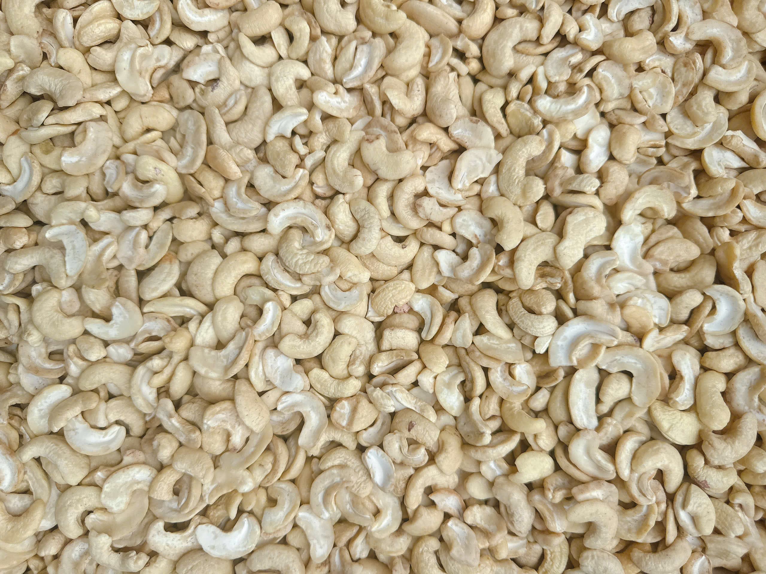 WS cashew kernels 11