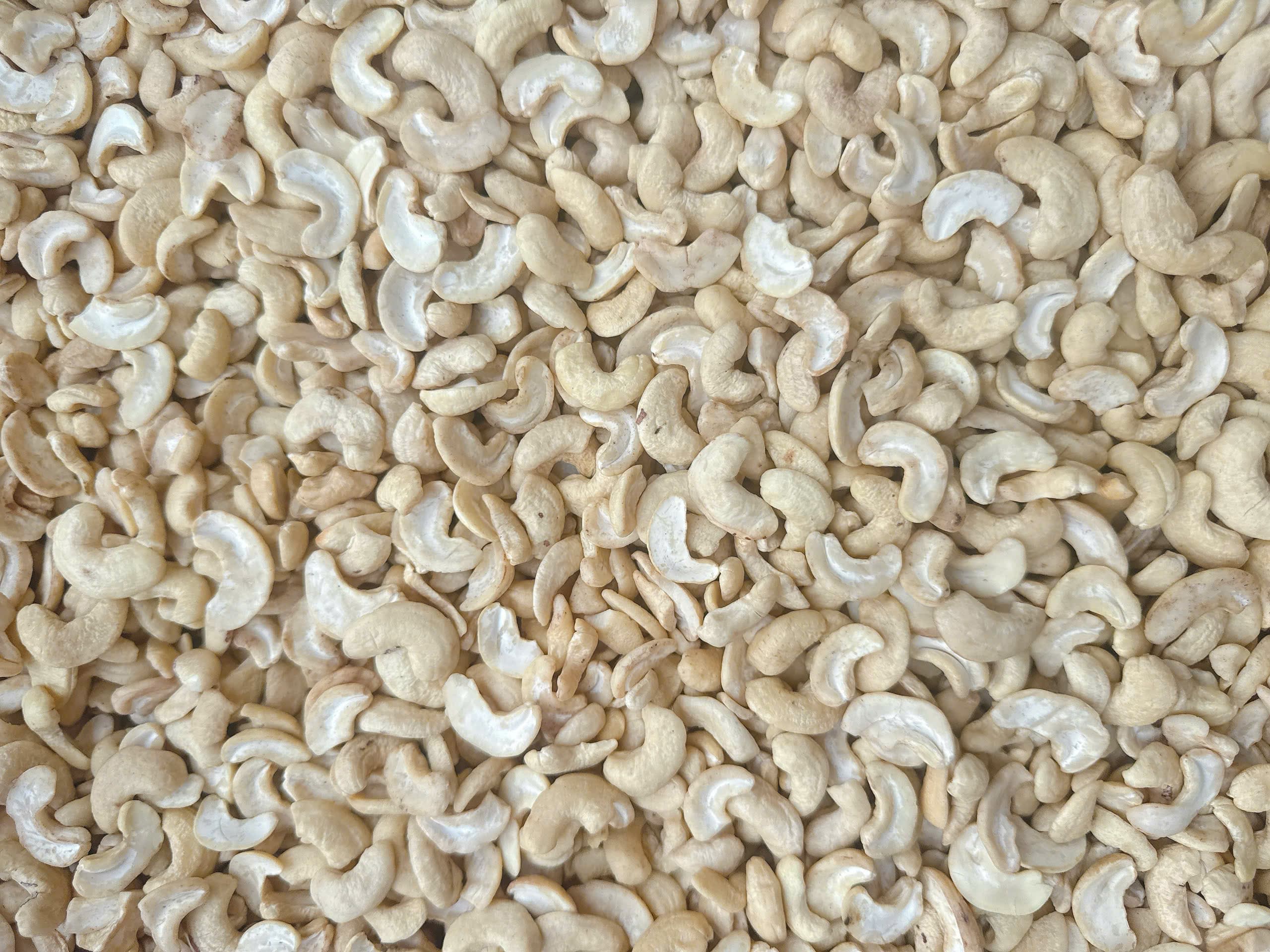 WS cashew kernels 2