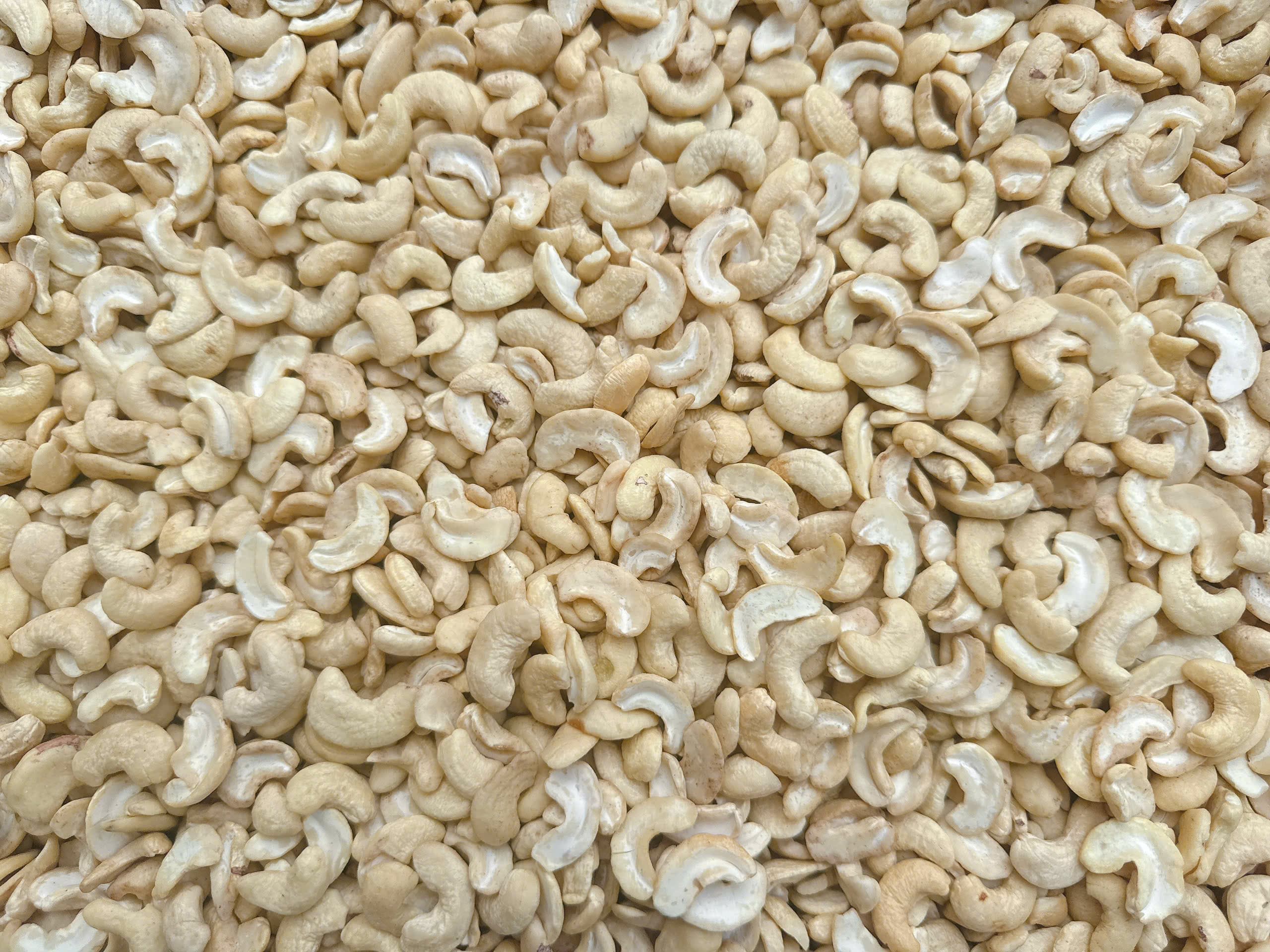 WS cashew kernels 3