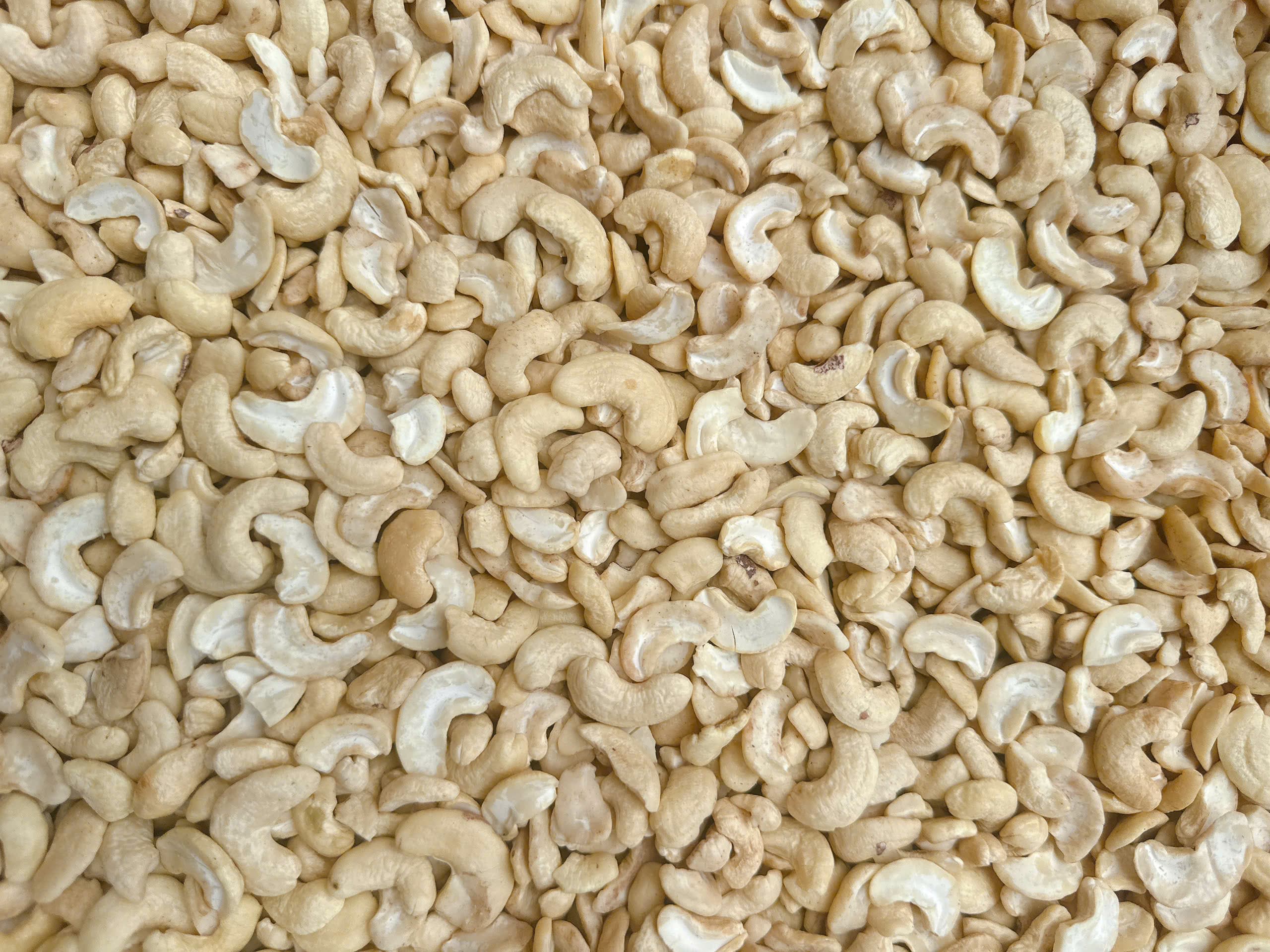 WS cashew kernels 4