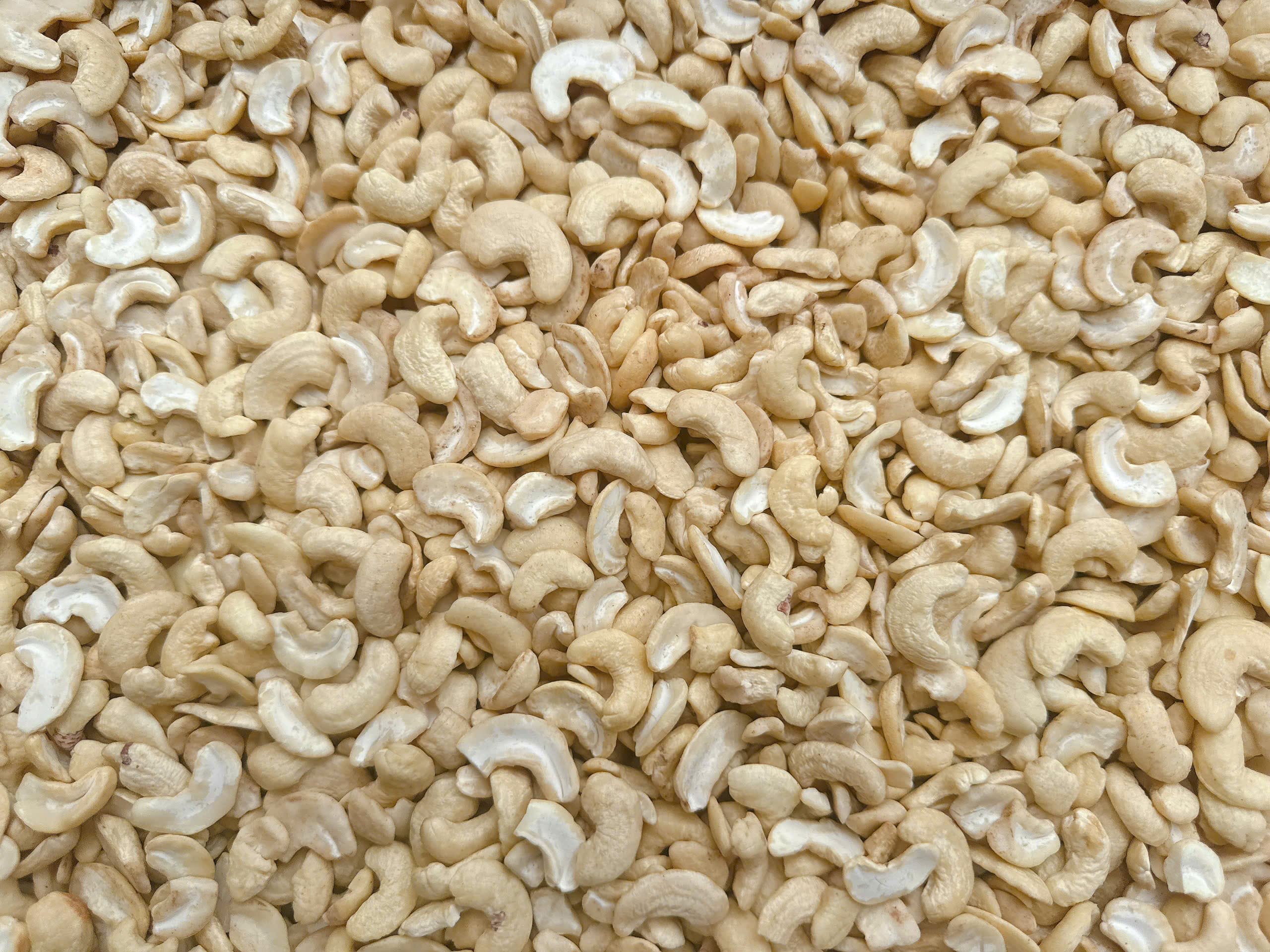 WS cashew kernels 5