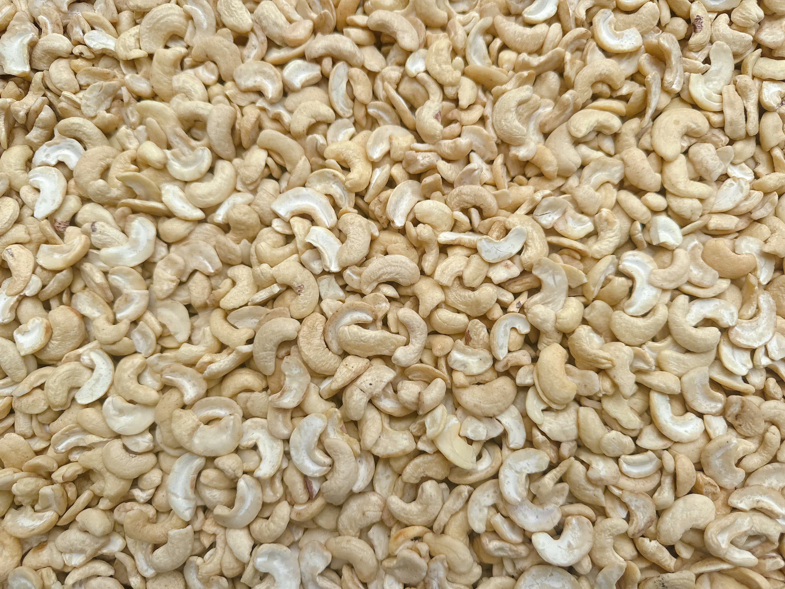 WS cashew kernels 6