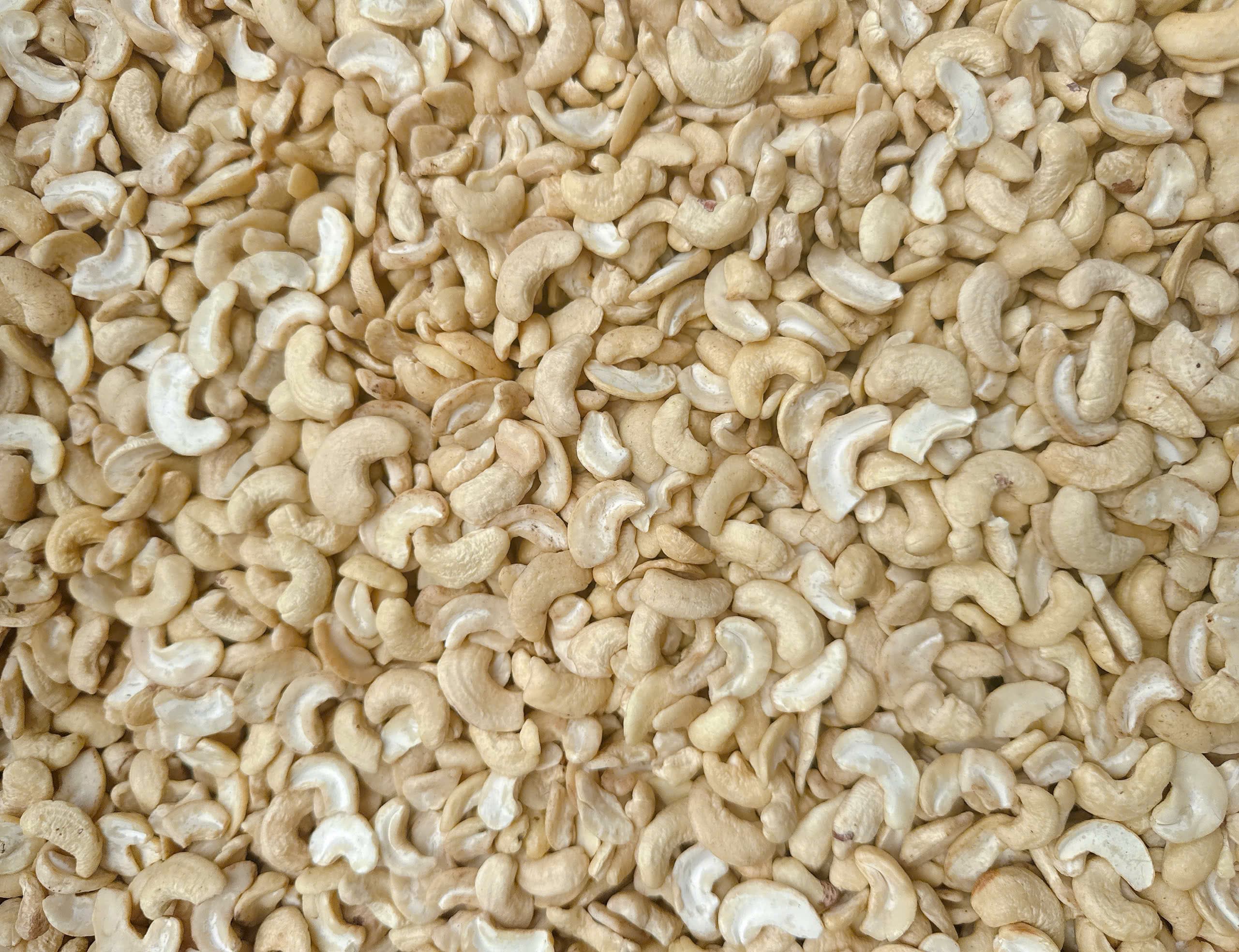 WS cashew kernels 7
