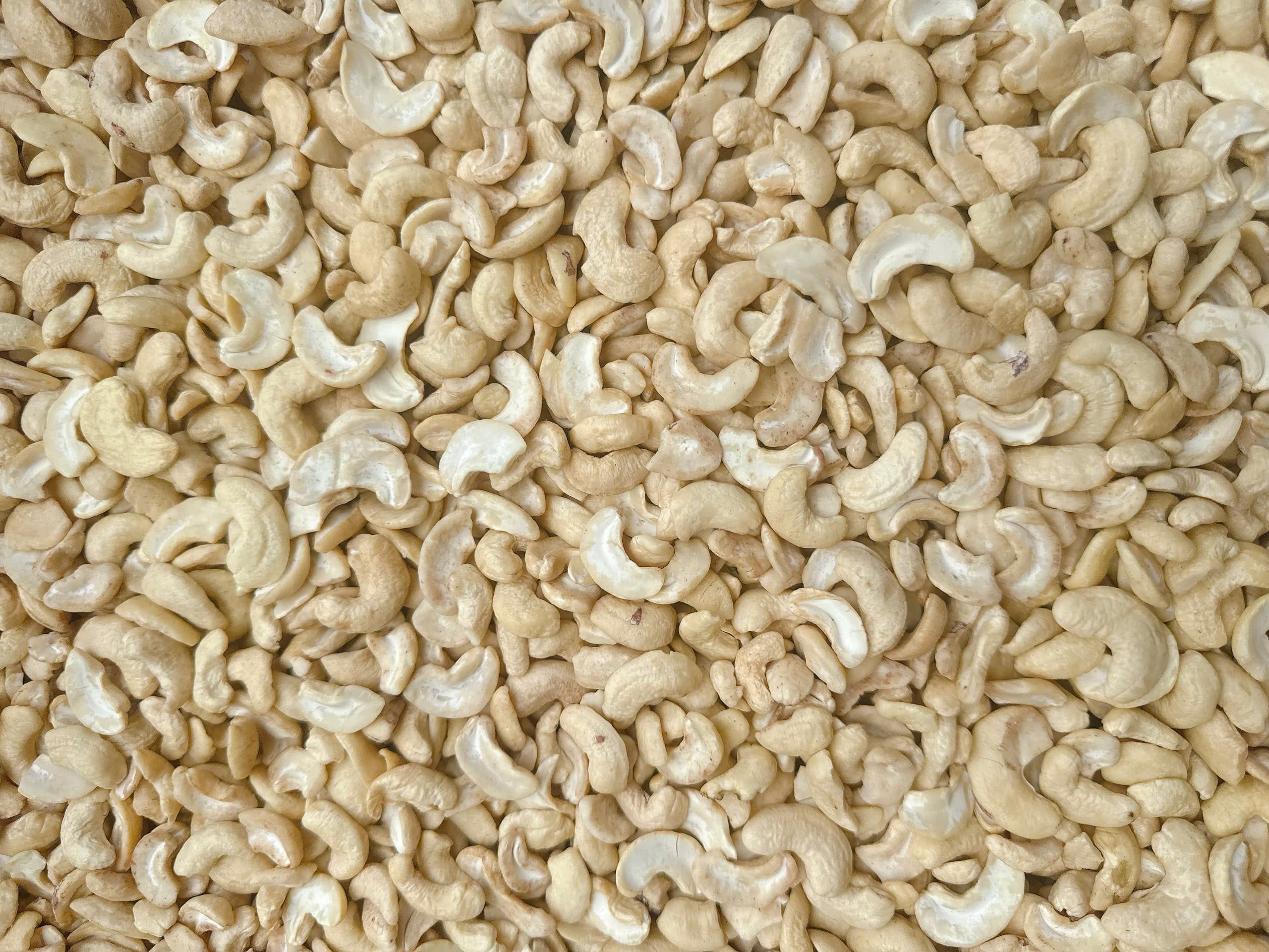 WS cashew kernels 8