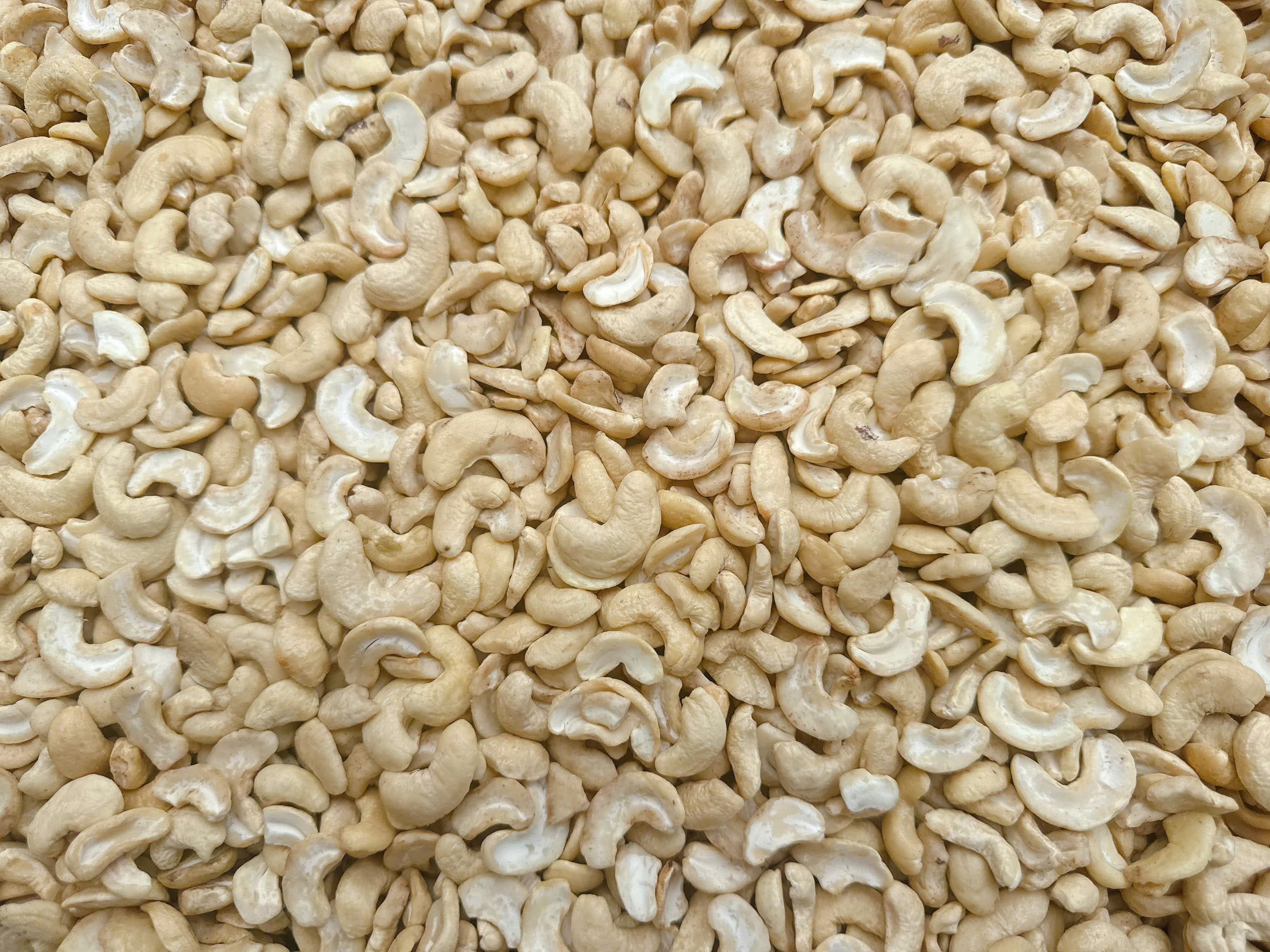 WS cashew kernels 9