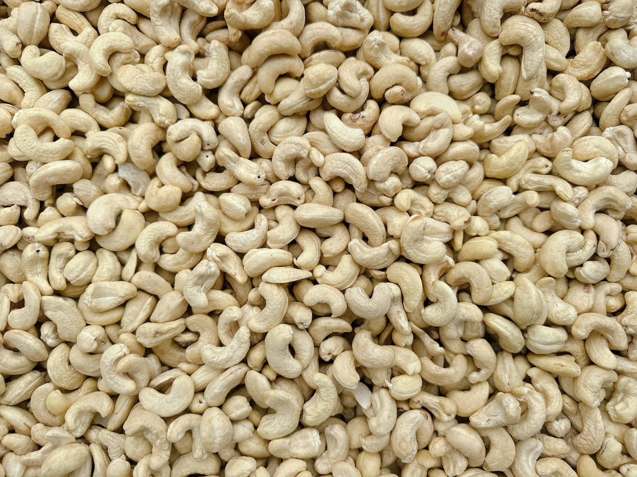 WW240 cashew kernels