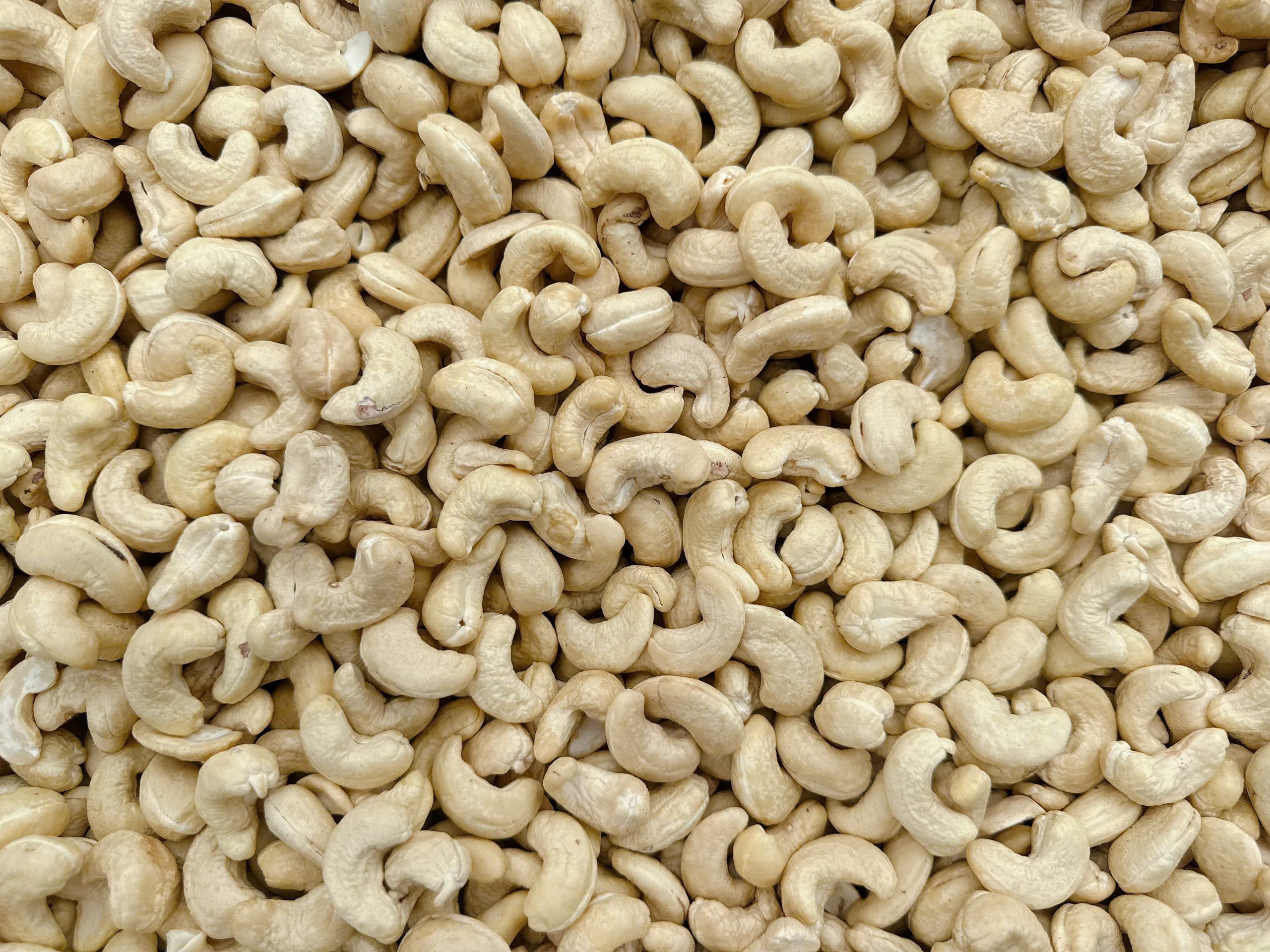 WW240 cashew kernels 3