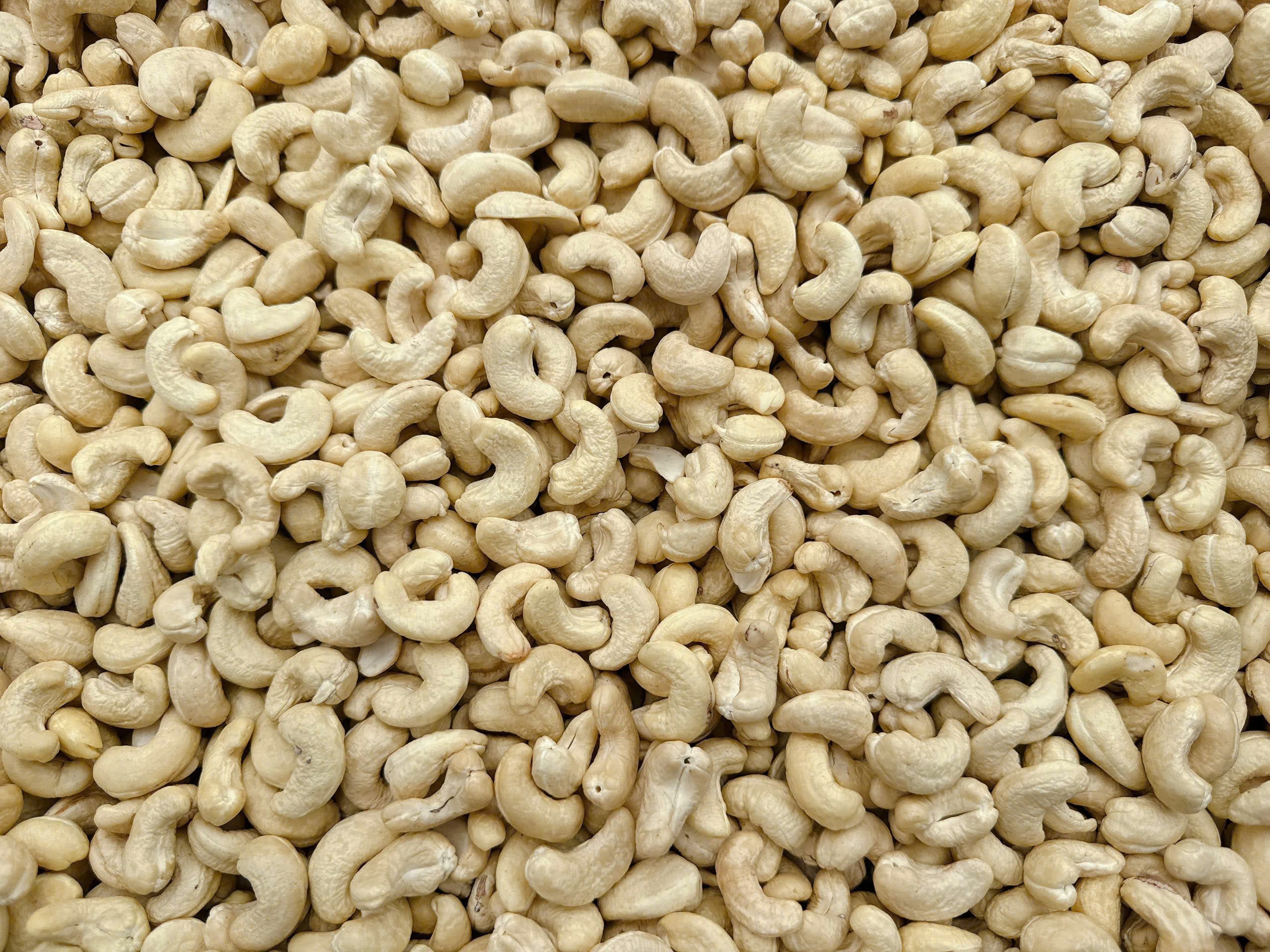 WW240 cashew kernels 4