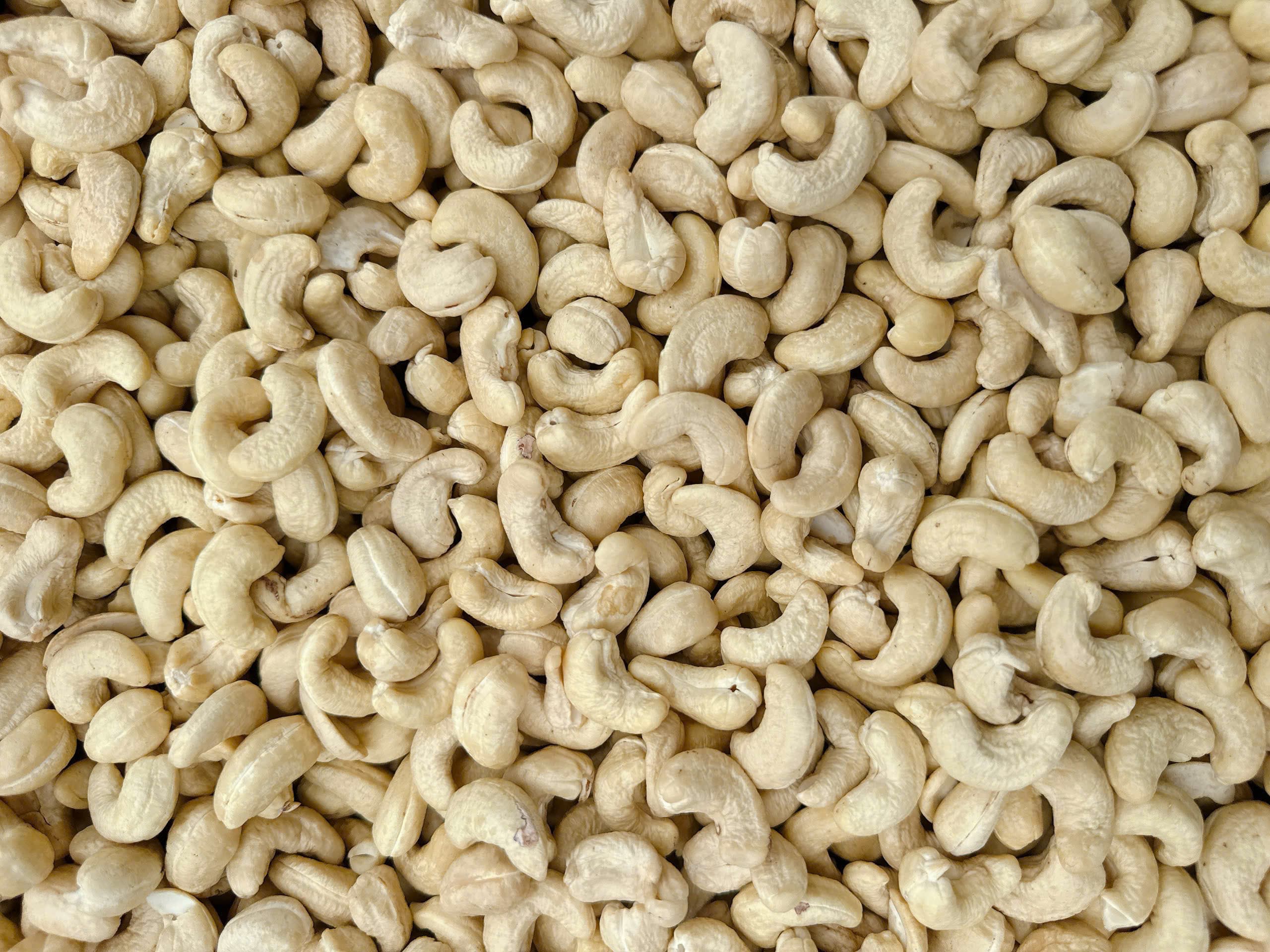 WW240 cashew kernels 5