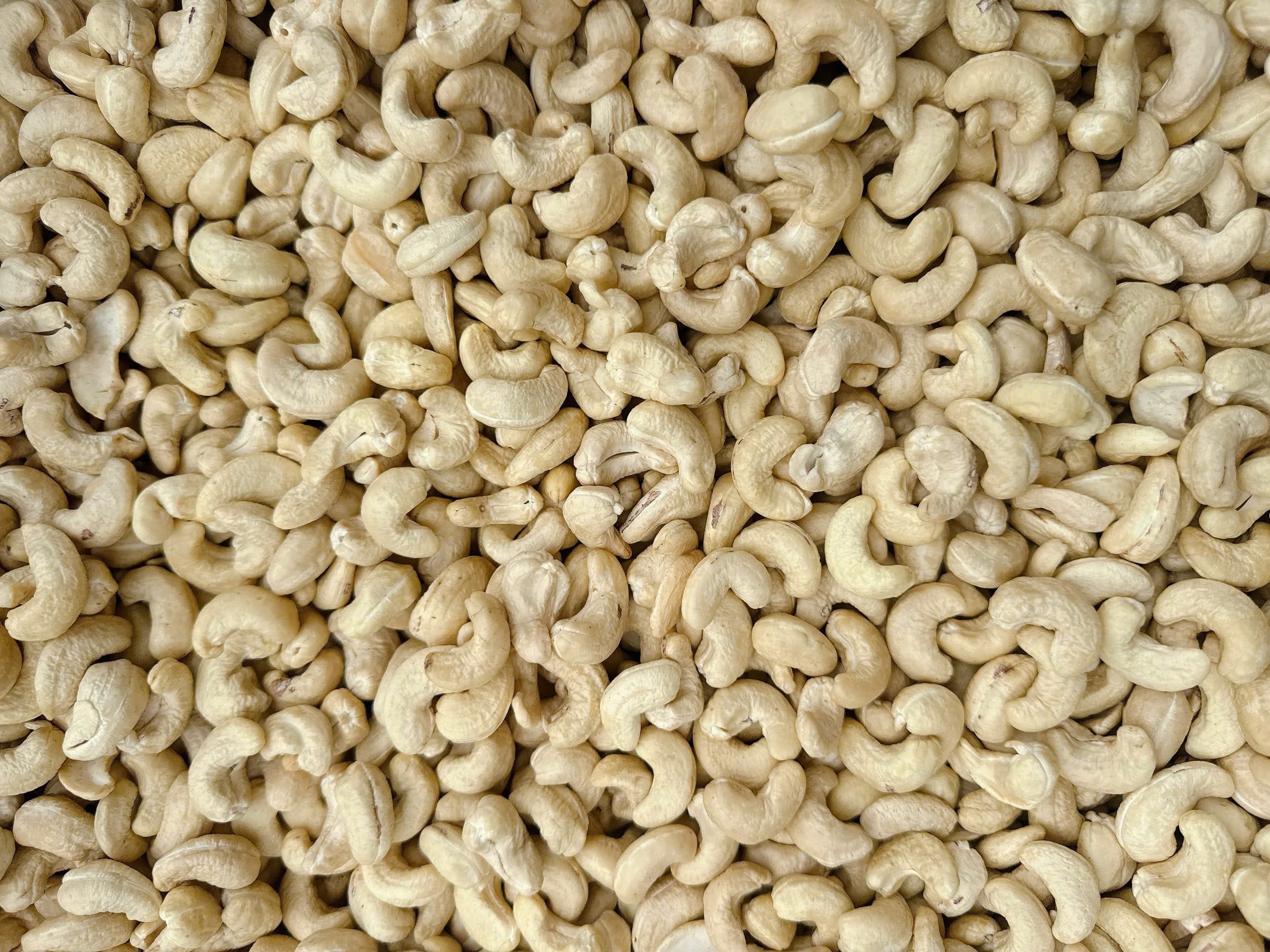 WW240 cashew kernels 6