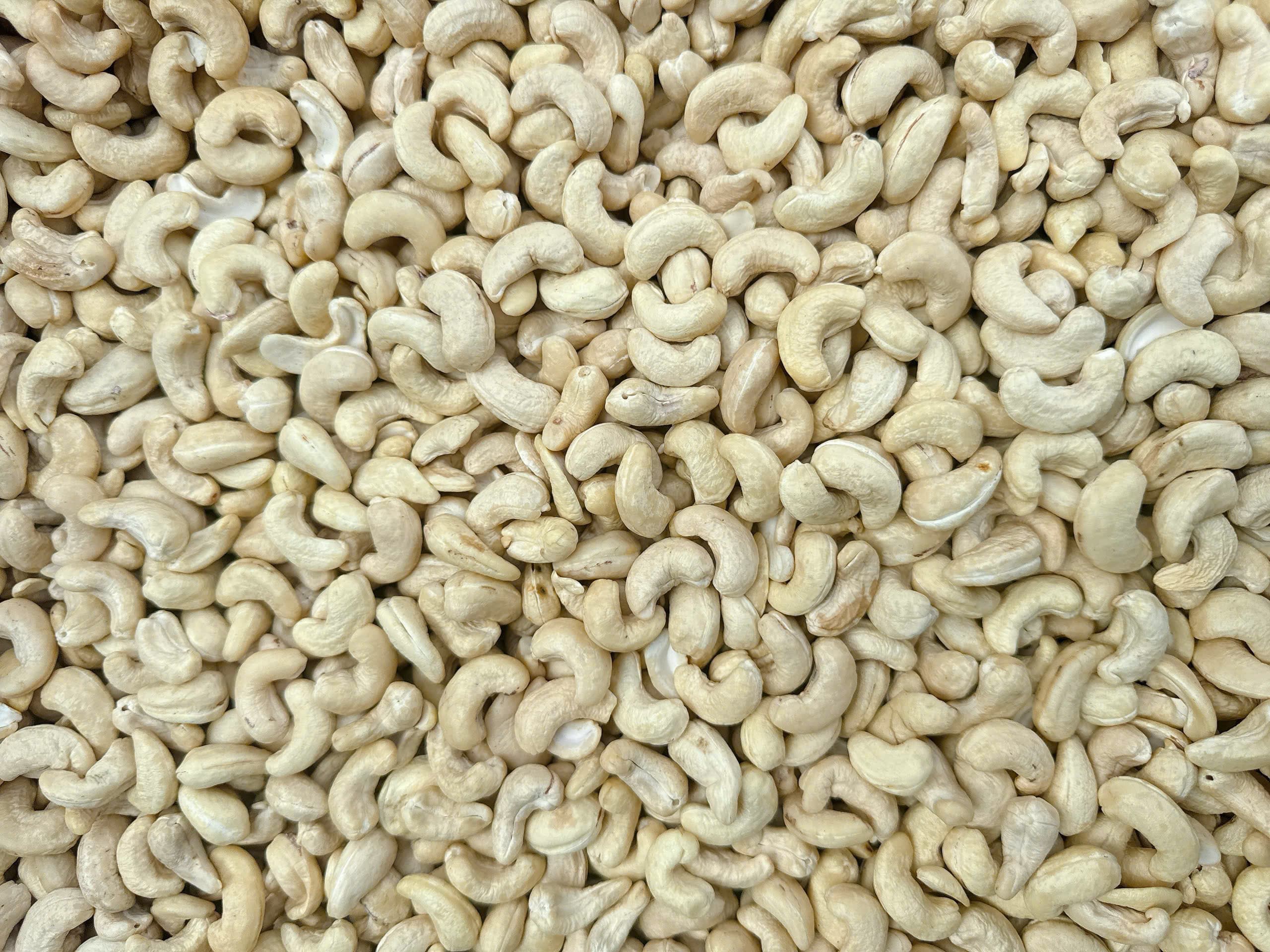 WW320 cashew kernels