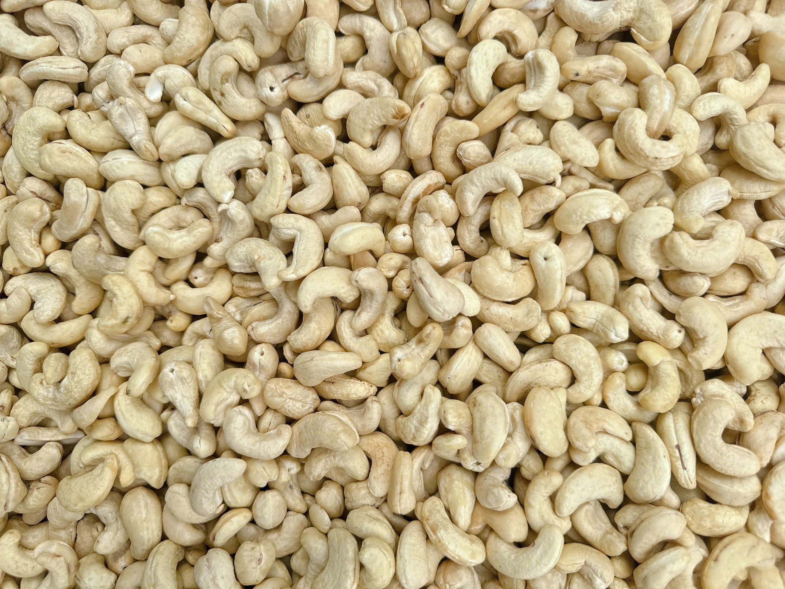 WW320 cashew kernels 2
