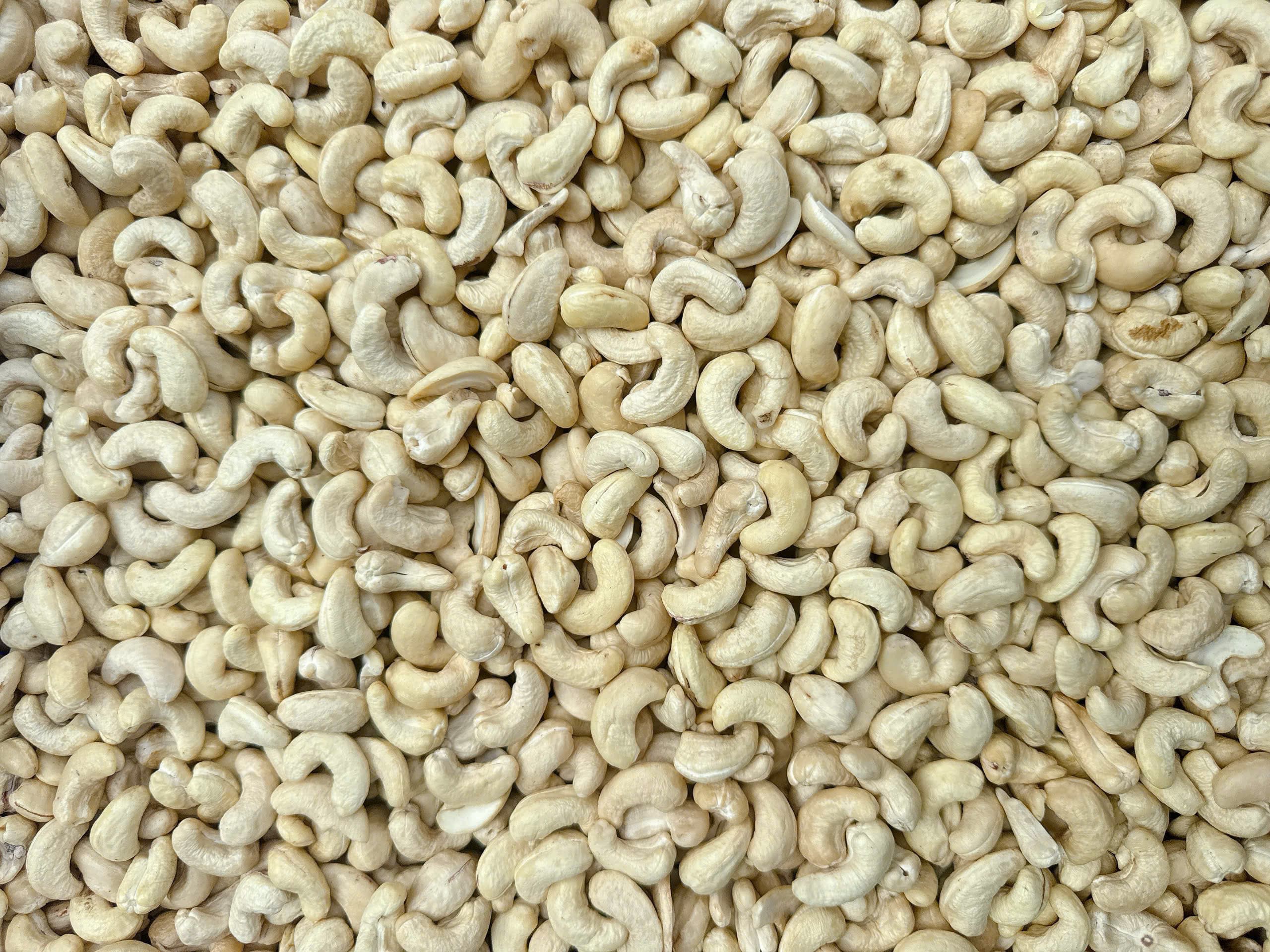 WW320 cashew kernels 3
