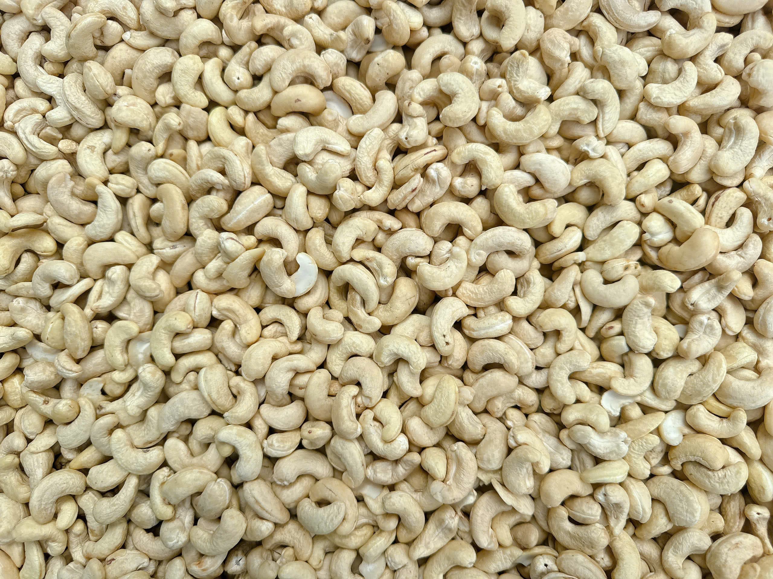 WW320 cashew kernels 4
