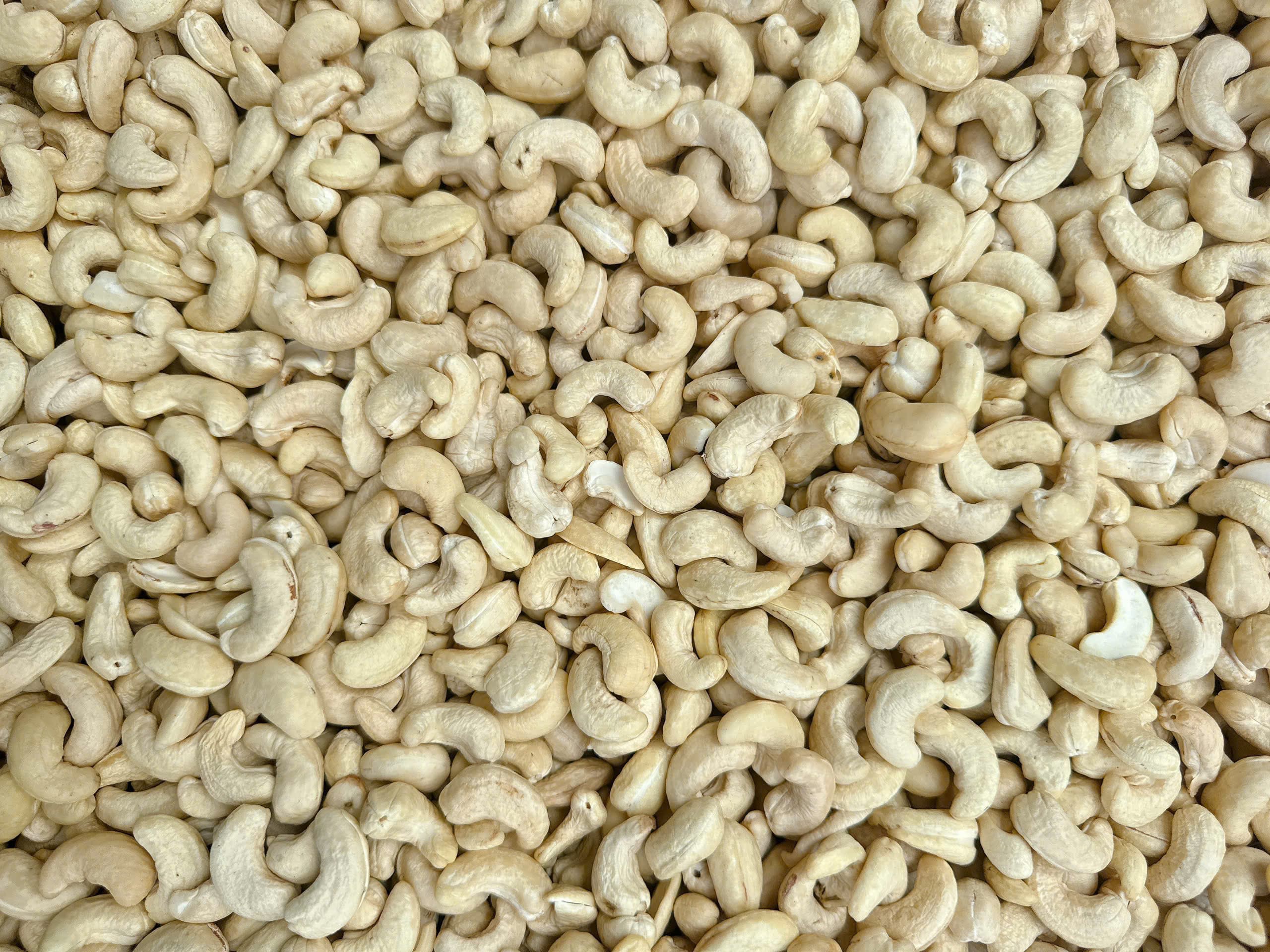 WW320 cashew kernels 5