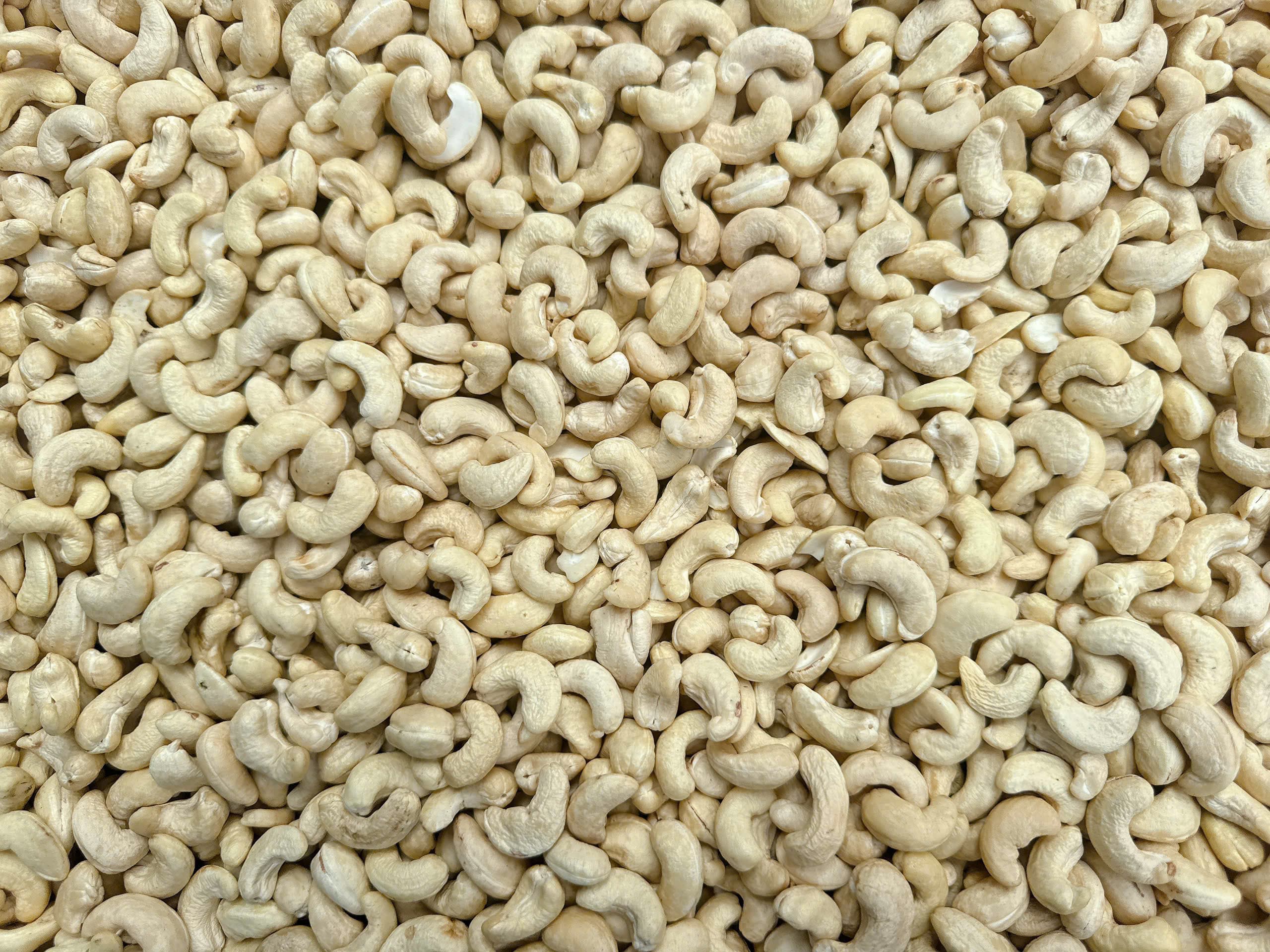 WW320 cashew kernels 6