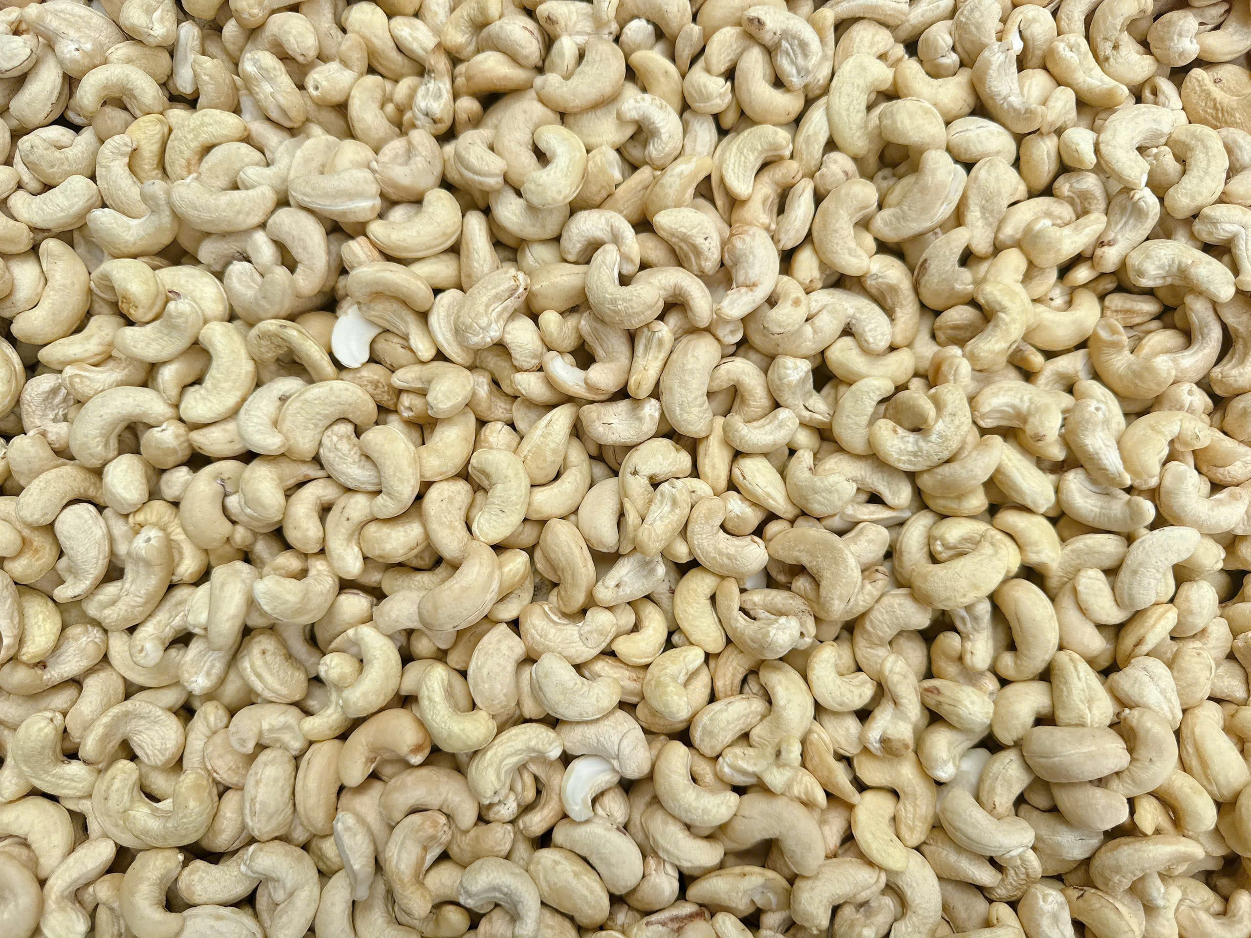 WW320 cashew kernels 7