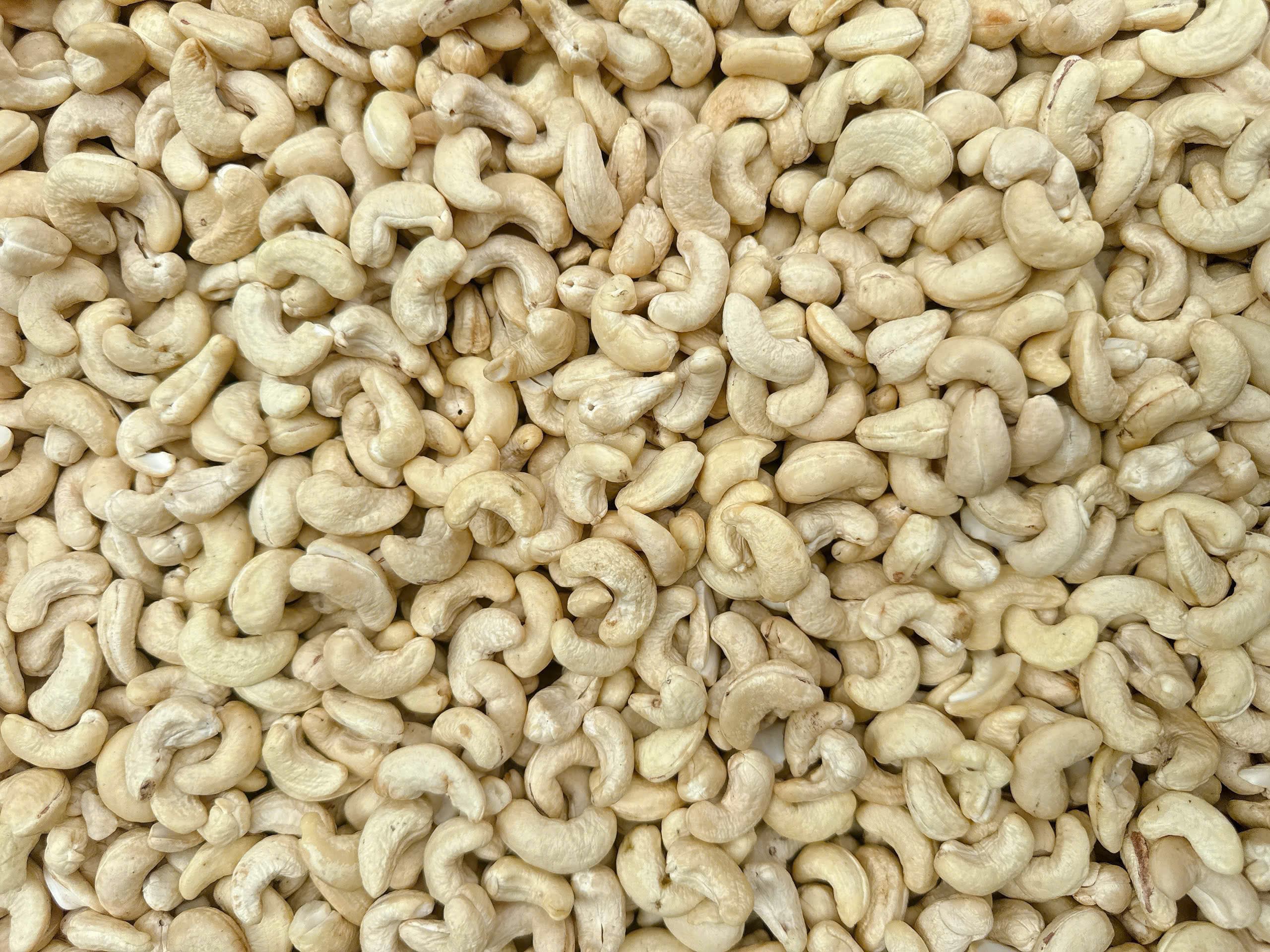 WW320 cashew kernels 8