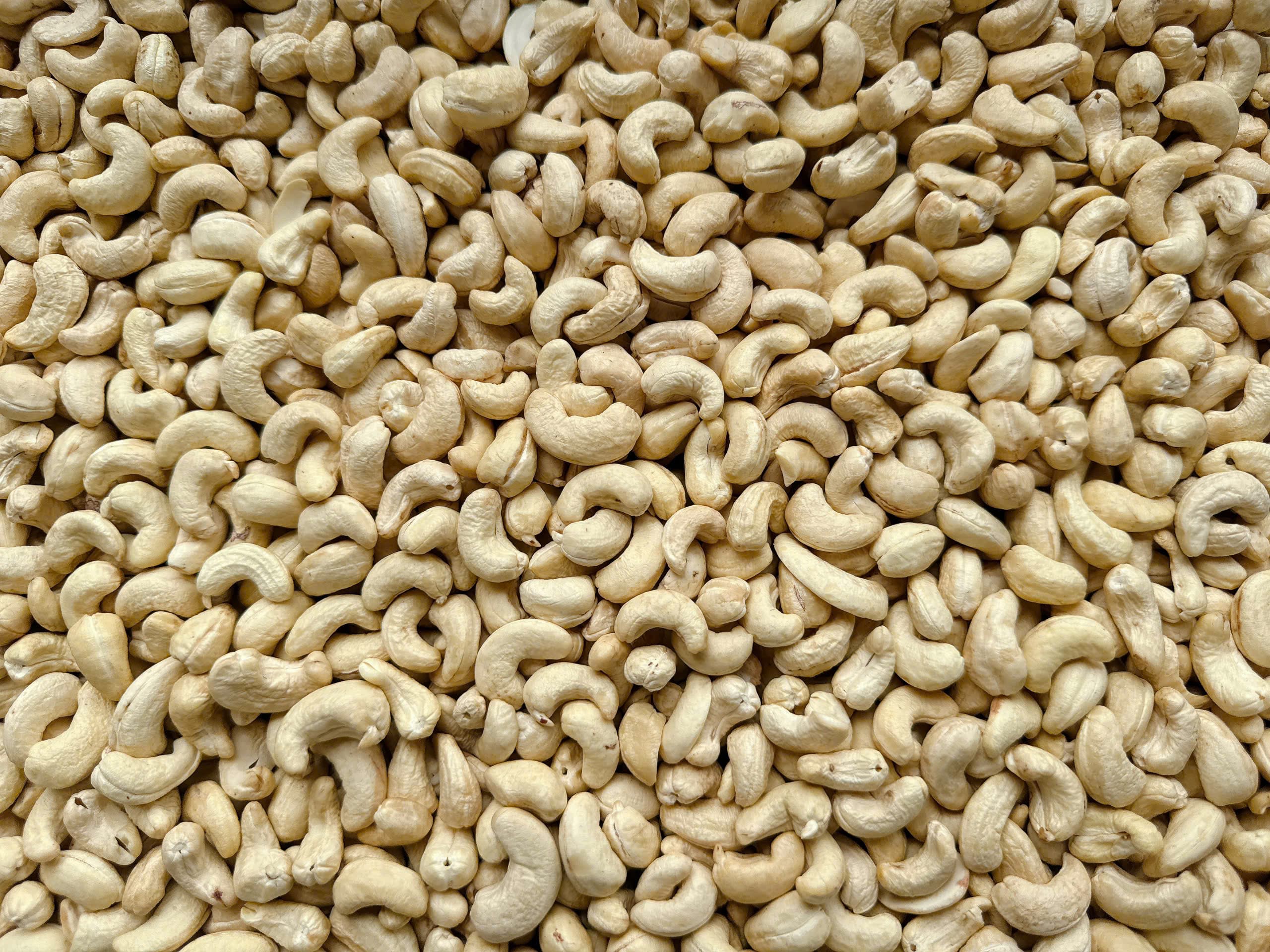 WW450 cashew kernels