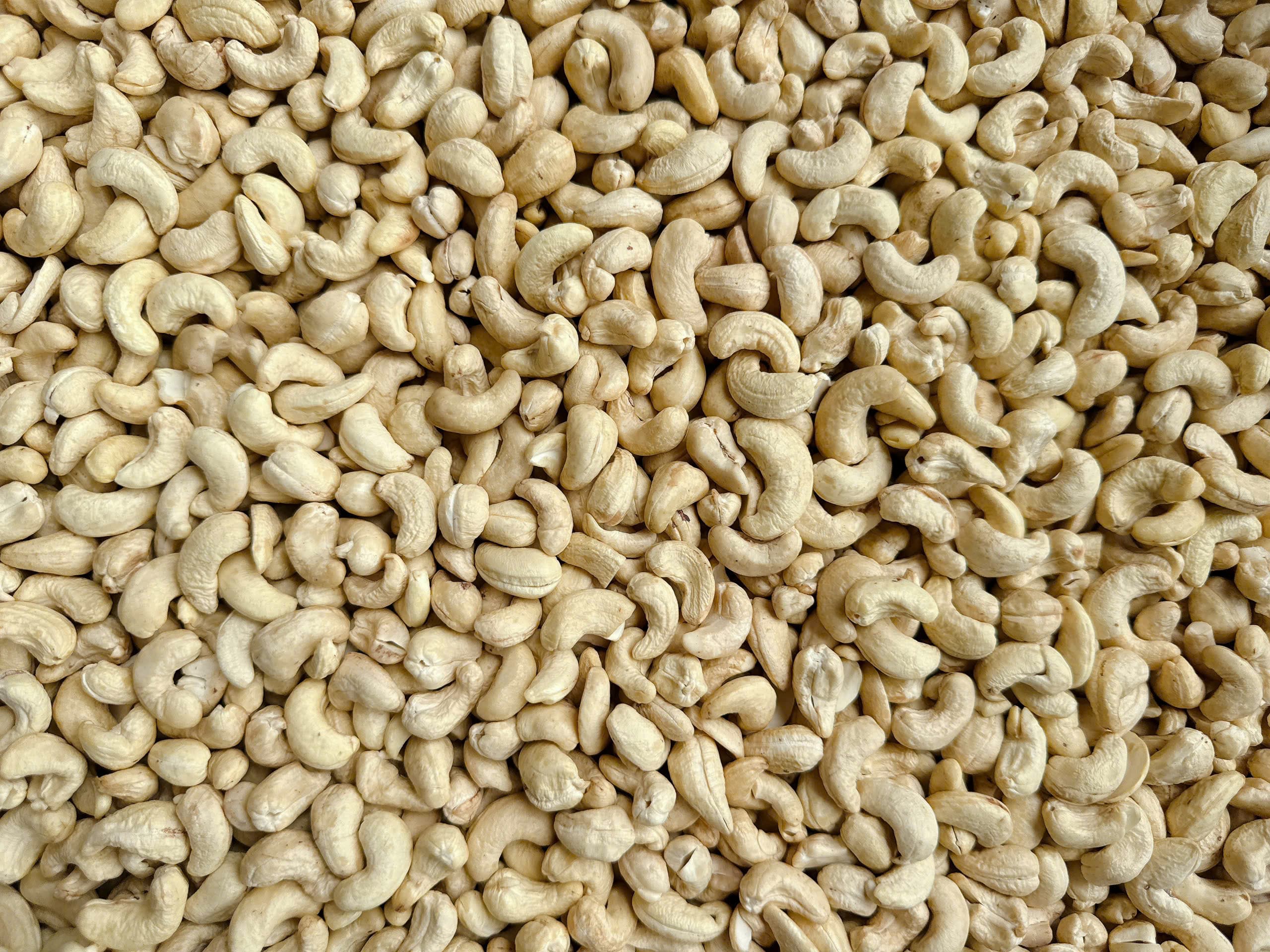 WW450 cashew kernels 6