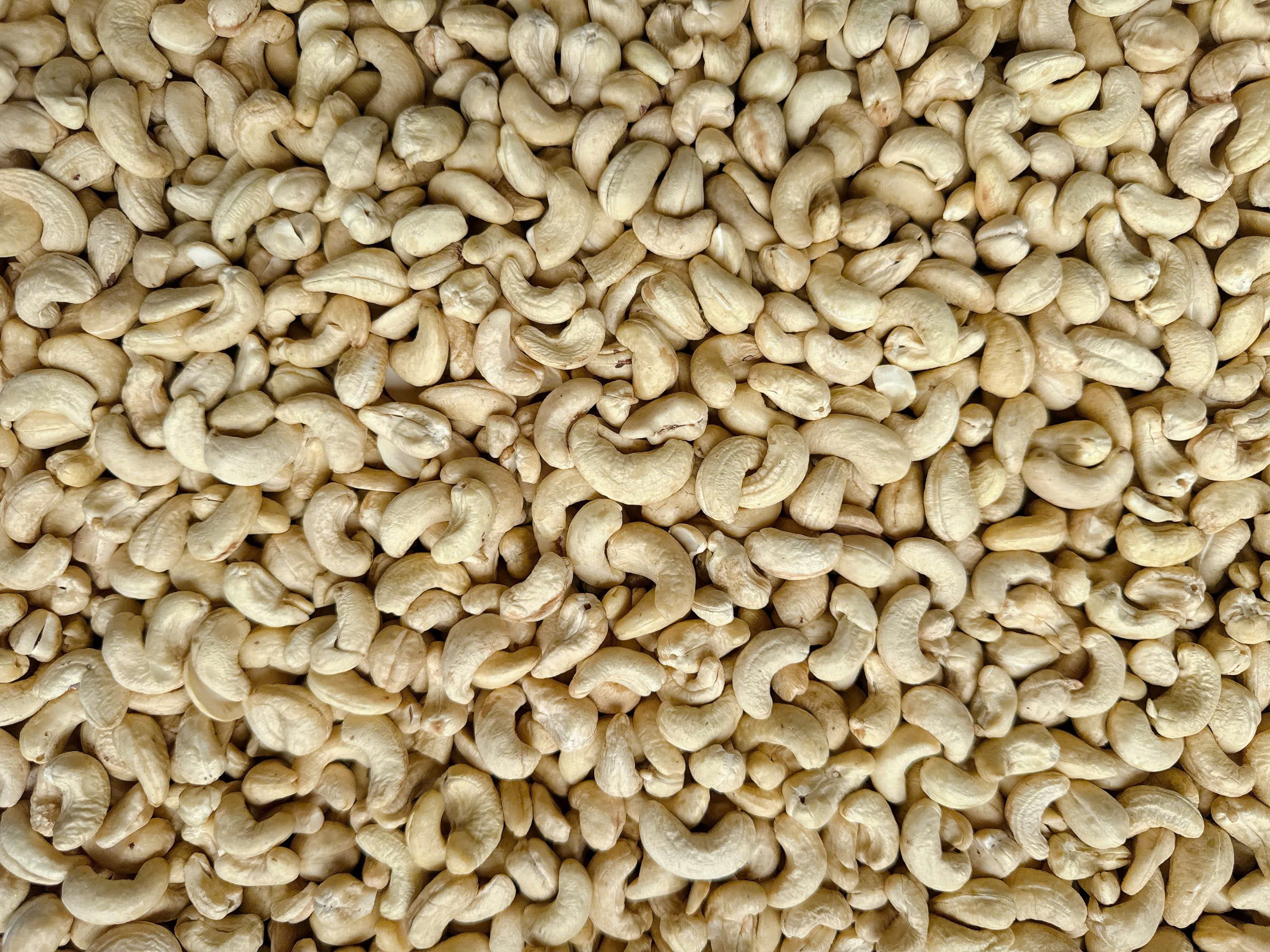 WW450 cashew kernels 7